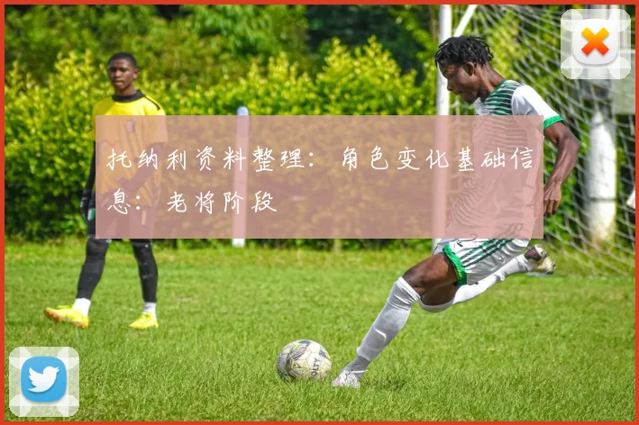 托纳利资料整理：角色变化基础信息：老将阶段